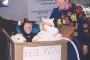 La Caja DIY Más Genial de Disfraces Gratis de Gatitos en Silla de Ruedas