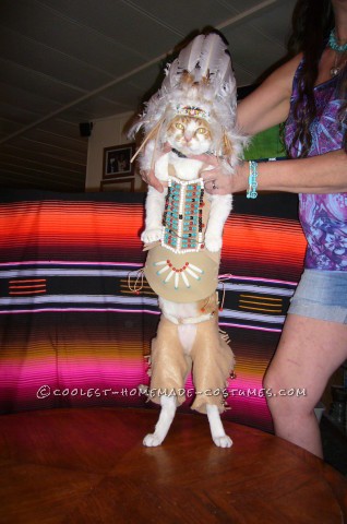 El mejor disfraz de gato indio