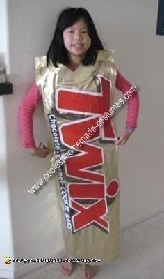 Coolest Homemade Costumes