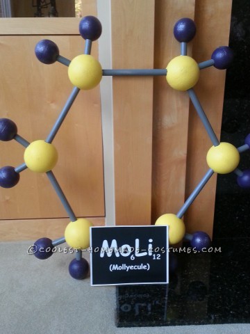 Disfraz de Molly-Ekule para una estudiante de sexto grado amante de la ciencia llamada Molly...