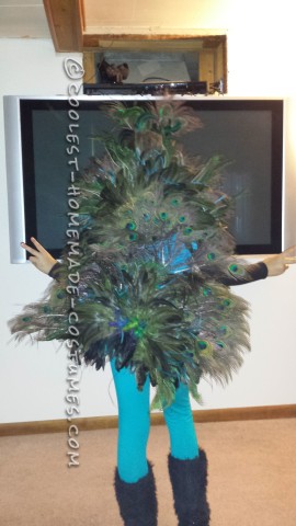 Precioso disfraz de pavo real de Homeamde para niña