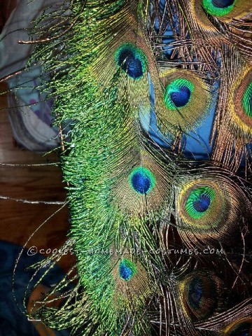 majestuoso disfraz de pavo real