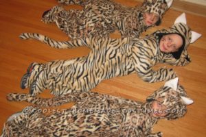 ¡Tres pequeños gatitos que no perdieron sus guantes!