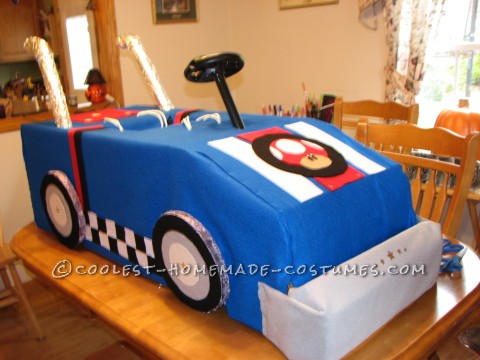 Bonito disfraz de Mario Bros.  Kart de carreras de sapo