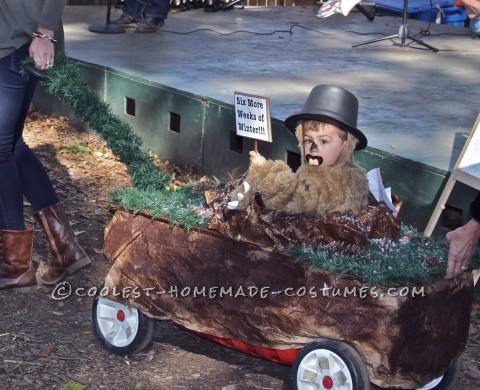 Disfraz de Punxsutawney Phil Surk para niño pequeño