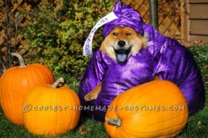 Disfraz de beso oscuro «Chow» de Hershey para perro