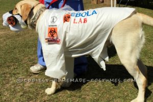 Disfraz ingenioso de Labrador Retriever: EBOLA LABORATORY