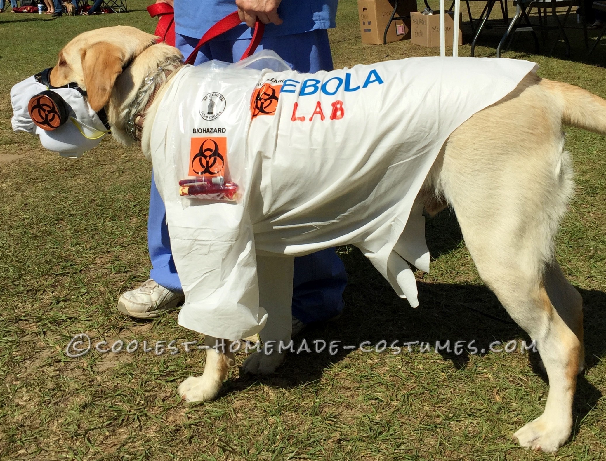 Coolest Homemade Costumes