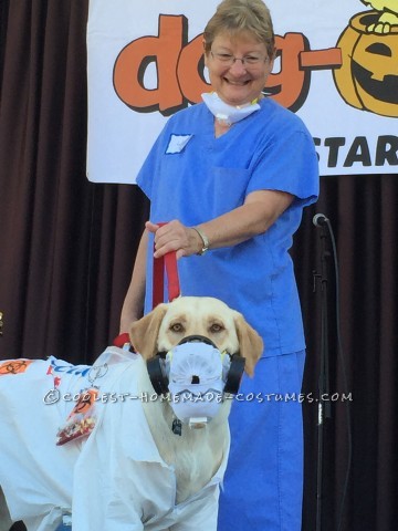 Disfraz ingenioso de Labrador Retriever: EBOLA LABORATORY