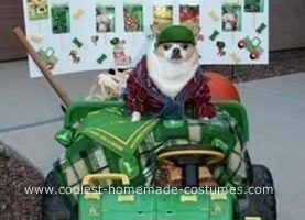 El disfraz de Halloween casero más genial para perros