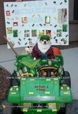Coolest Homemade Costumes