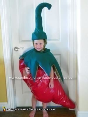 Coolest Homemade Costumes