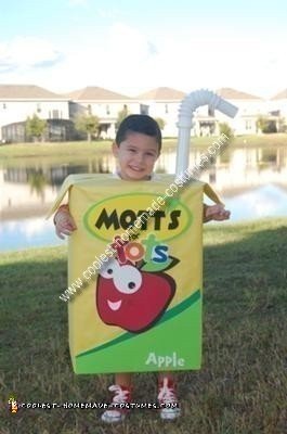 Coolest Homemade Costumes