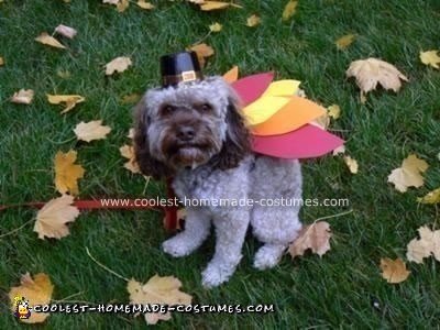 Coolest Homemade Costumes