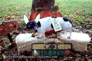 El disfraz de vaca casero más chulo para un perro doméstico