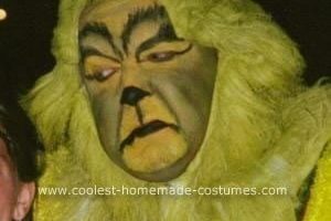 El mejor disfraz casero de Grinch