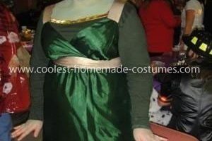 El mejor disfraz de Fiona de Shrek