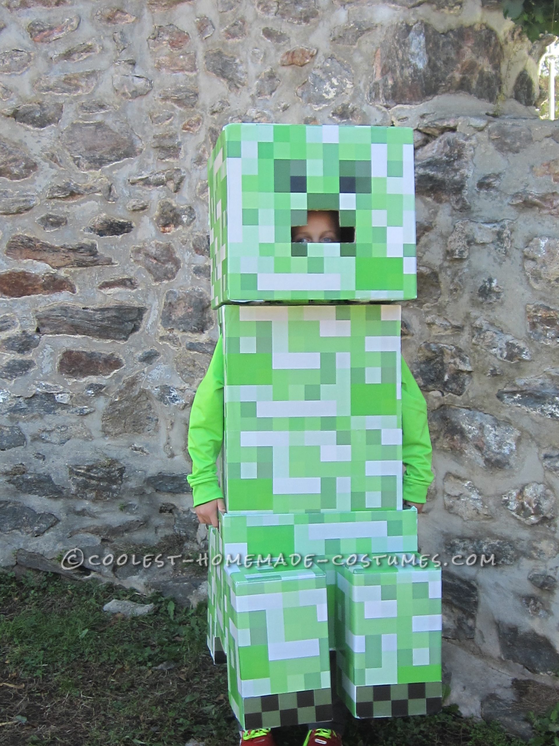 Coolest Homemade Costumes