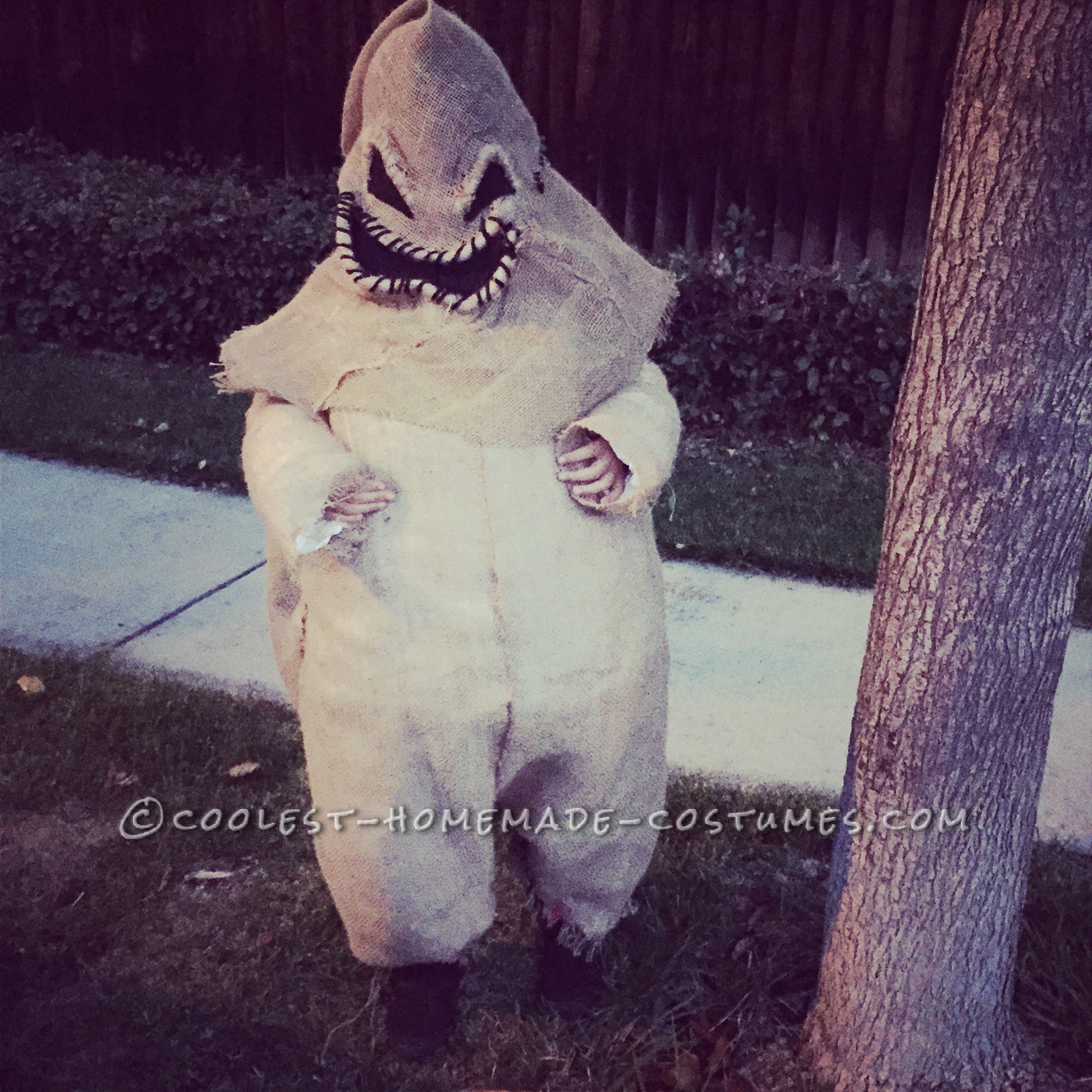 Coolest Homemade Costumes