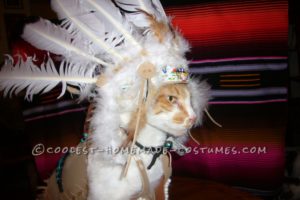 El mejor disfraz de gato indio