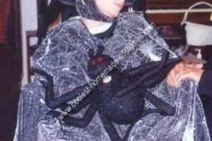 El mejor traje de telaraña para silla de ruedas hecho en casa