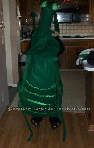 Genial disfraz de mantis religiosa