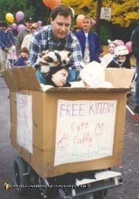 Caja casera de traje de silla de ruedas de gatito gratis