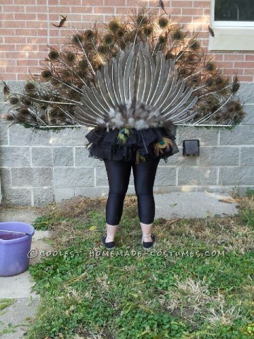 majestuoso disfraz de pavo real