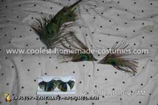 Aquí están las pestañas postizas de plumas de pavo real, las piezas que pegamos sobre sus ojos y el peinado que hice.