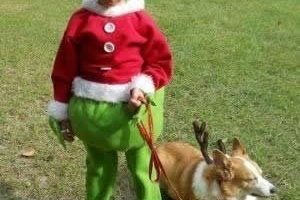 El mejor disfraz DIY de Grinch