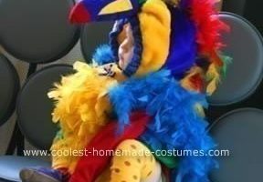 El mejor diseño de vestuario de pájaro loro.