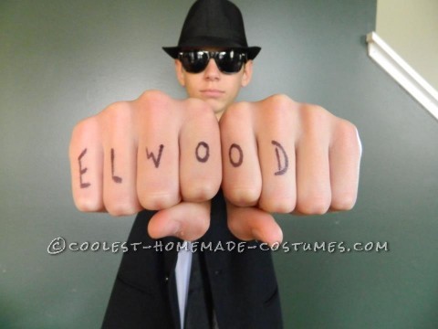 Disfraces de Jake y Elwood Blues Brothers