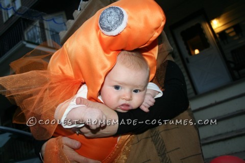 Mi hija solo tenía 3 meses pero quería incorporarla a mi loca tradición de disfraces raros de Halloween.  No estoy seguro de dónde está la idea.