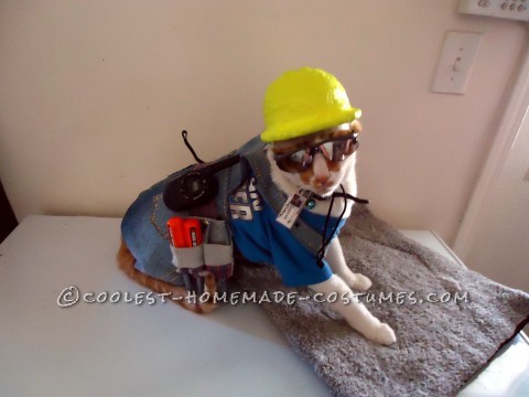 El disfraz de constructor más genial (¡para un gato!)
