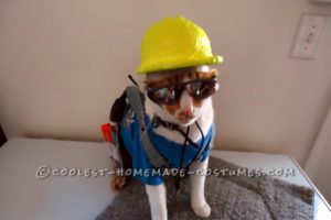El disfraz de constructor más genial (¡para un gato!)