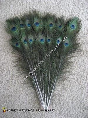 Idea de disfraz de Halloween único de pavo real hecho en casa