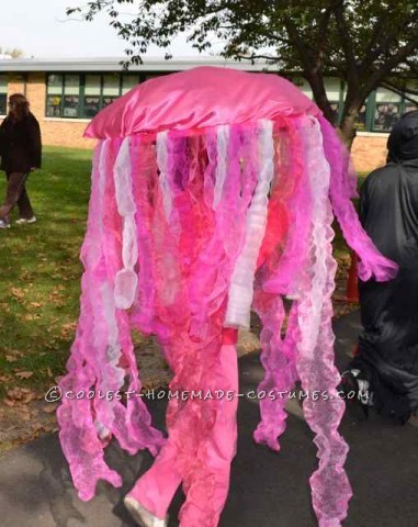 Disfraz de medusa Mi hija quería ser una medusa para Halloween.  Usamos un viejo casco de bicicleta para sujetar las medusas en nuestras cabezas.