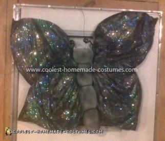 El mejor disfraz de mariposa 9